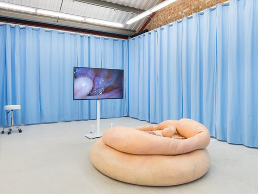 Synthetic Seduction. Courtesy of Annka Kultys Gallery