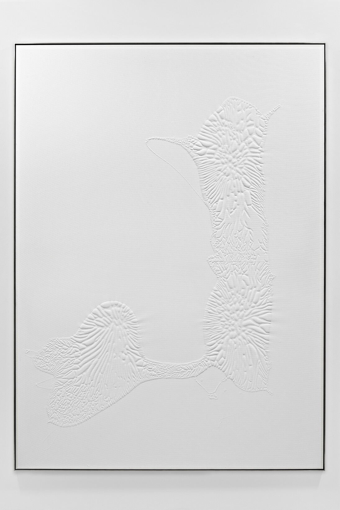 Santiago Taccetti, Untitled (Einstatzbereich Innen - Außen), Household acrylic on canvas, 200 x 145 x 3.5 cm, 2015