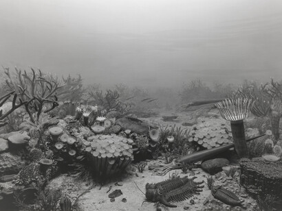 Hiroshi Sugimoto, Devonian period (detail), 1992. Courtesy of Sainsbury Centre