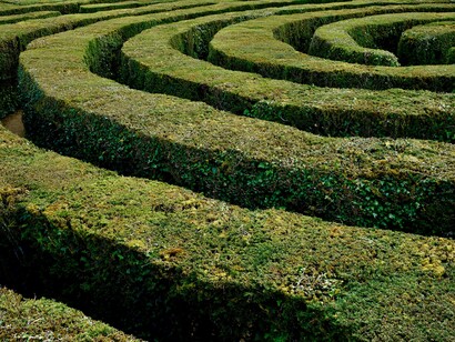 Labirinto. Diante do Escorpião-capa-brasão-centro do livro, "O leitor atento" sente-se entre "A admissão e a morte", "Visita hesitante" em "Visita ao castelo desaparecido" ou à "Torre de quem lá vai não volta" temendo "Um crime", receoso, quiçá, de sentir "O capacete furado por uma bala" ou por "Uma pedra silenciosa" e tornar-se "Aquele que desapareceu" numa "Execução consumada". Medo de "Apocalíptico assassínio seguido de suicídio"




