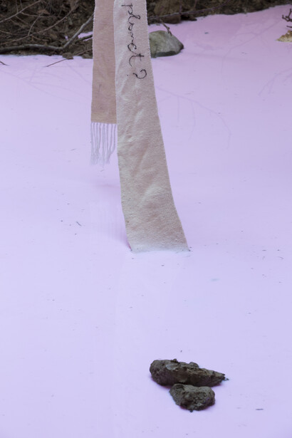 Petrit Halilaj, Yes but the sea is attached to the earth and it never floats around in space. The stars would turn off and what about my planet?, 2014, Installation. Mixed media (earth, branches, fallen leaves, stones, soap), Variable dimensions, View of the exhibition (detail) « Yes but the sea is attached to the earth and it never floats around in space. The stars would turn off and what about my planet? », Kamel Mennour, Paris, 2014, © Petrit Halilaj, Photo: Fabrice Seixas, Courtesy the artist and Kamel Mennour, Paris