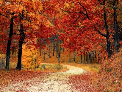 La Loggia Terra in alcuni casi viene messa tra l’estate e l’autunno