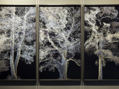 Quayola, PP 3D scans series, installation view at CUBO, 2017. Foto di Alessandro Trapezio