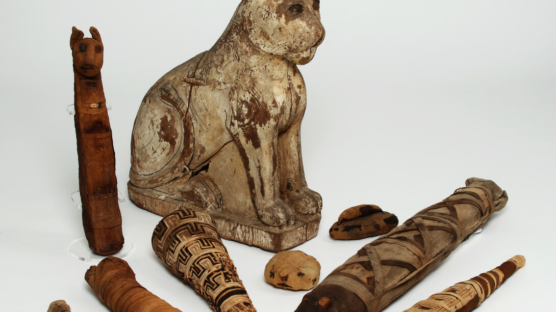 Group of Animal Mummies, Manchester Museum, The University of Manchester © Alan Seabright