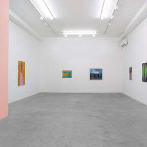 Rosalind Nashashibi. Courtesy of GRIMM