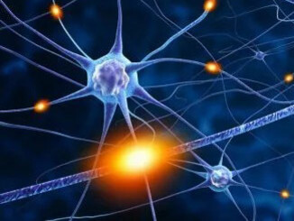 Human emotions have a long evolutionary history