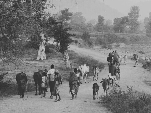 La exclusión económica y el debilitamiento de las redes comunitarias alimentan narrativas que responsabilizan al migrante de crisis que tienen raíces estructurales más profundas