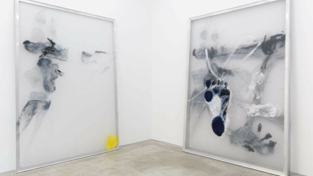 Courtesy the artist and Daniel Marzona, Berlin. 
Photo: Thomas Bruns

