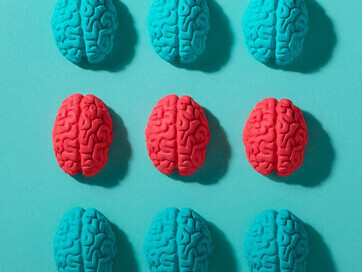 A still life composition with human brains set against a striking blue backdrop