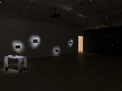 Amol K Patil, The shadow of lustre, exhibition view. Courtesy of Galerie Peter Kilchmann