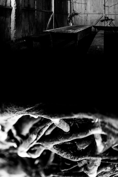 Cosmogonia Shuar #14N,  Ecuador 2016