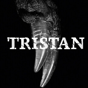 Tristan. Berlin bares teeth. Courtesy of Museum für Naturkunde