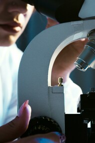 Desde su descubrimiento a la actualidad, CRISPR ha evolucionado hasta convertirse en una herramienta de edición genética de precisión