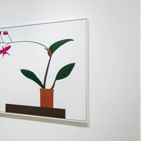 Ed Baynard. Courtesy of Stephen Friedman Gallery