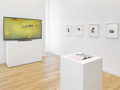 Ella Weber, A lazy love, exhibition view. Courtesy of Western Exhibitions