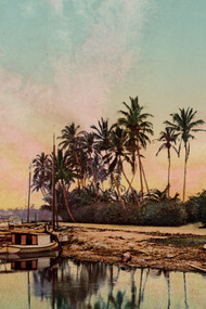 "On the Miami River," photochrom print (1900) of the Miami River, Florida, USA