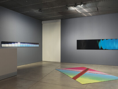 And What About Photography. Courtesy of David Nolan Gallery