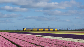 Cada experiencia en el camino de lo desconocido deja su huella, 2015. Un tren interurbano de Ámsterdam a Den Helder pasa por un campo en plena floración cerca de Schagen, Holanda