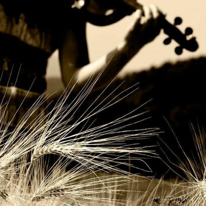 Violino by Flavio Nespi  

