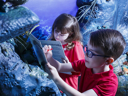 Your shipwreck adventure, exhibition view. Courtesy of Queensland Museum Tropics