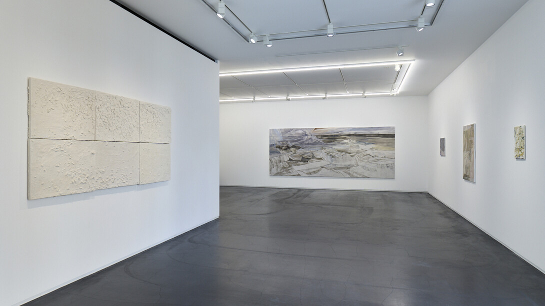 Reika Takebayashi, A petal falling, exhibition view. Courtesy of Taka Ishii Gallery 