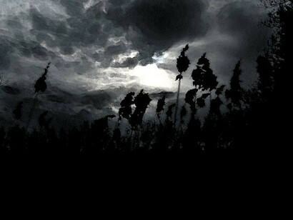 Un poder oscuro, no sé de dónde viene ni adónde va, pero ha marcado las orillas por donde quisiera que fluyera mi torrente