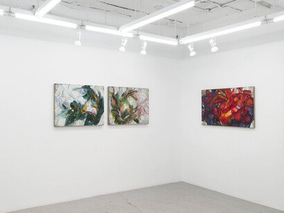 Michele Fletcher, Fooling linnaeus, exhibition view. Courtesy of Nicelle Beauchene Gallery
