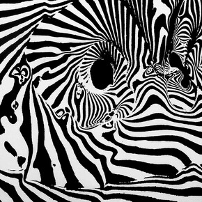 Franco Grignani , "Plurisconnessione del centro - Fenomeno di sdoppiamenti", 1956, sperimentale ottico di distorsione su tela emulsionata, 115x151,5 cm