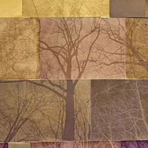 Amanda Marchand and Leah Sobsey, Forest family - Maple, dogwood, cherry, oak, hickory, beech, gingko, pine smoketree, sweetgum (detail), 2026. Courtesy of Rick Wester Fine Art