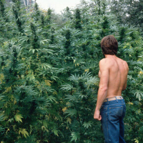 Mel Frank. Courtesy of Benrubi Gallery