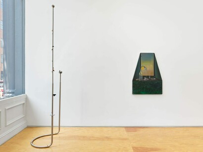 Carolina Fusilier, Imago, exhibition view. Courtesy of Margot Samel Gallery