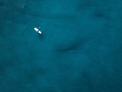 Massimo Yin-massimo freddo