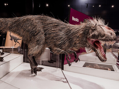 Dinosaur Gallery. Courtesy of COSI