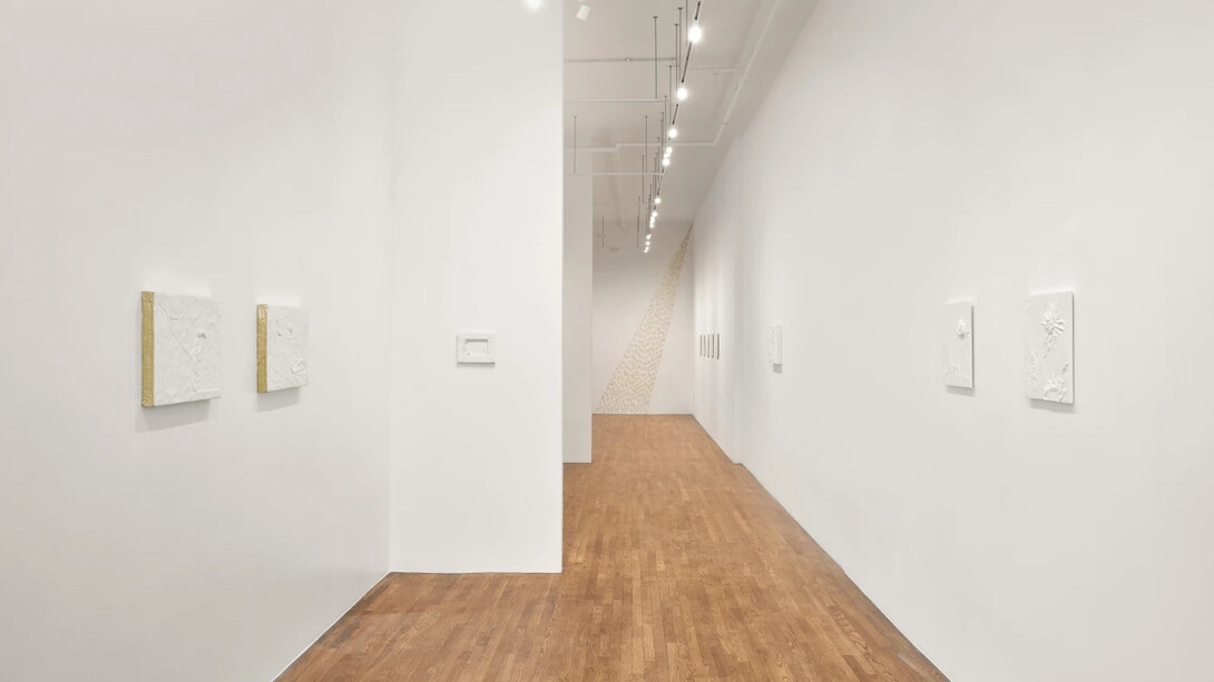 Tim Noble, Happy land, exhibition view. Courtesy of Palo Gallery