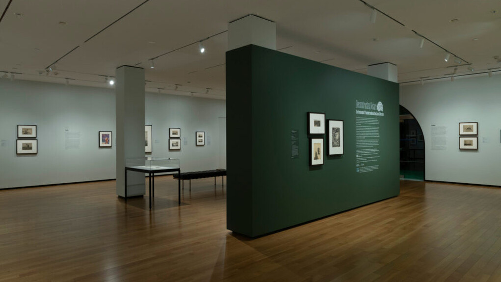 Deconstructing nature, exhibition view. Courtesy of the Baltimore Museum of Art