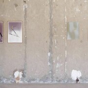 The Prairies, 2012, Rennes Biennial, New Way Mabilais, photo A. Mole