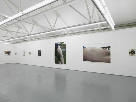 Central nervous system, exhibition view, first floor gallery Maureen Paley, London, 2013, © the artist, courtesy Maureen Paley, London