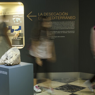 GeoSeville, Exhibition view. Courtesy of Casa de la Ciencia 