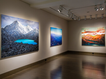 Tula Telfair, Who owns this land, exhibition view. Courtesy of Hirschl & Adler Modern