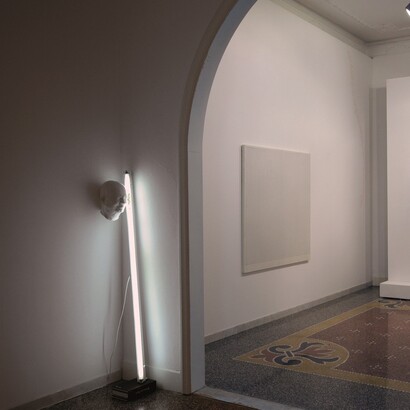 Bernardì Roig e Gianfranco Zappettini, installazione