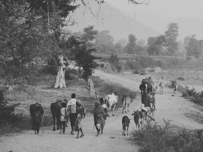 Entre espoir et vulnérabilité, ces trajectoires migratoires rappellent que l’exclusion sociale nourrit les peurs sur lesquelles prospèrent les droites radicales