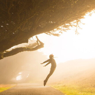 Soltitium. Courtesy of Comune di Pesaro