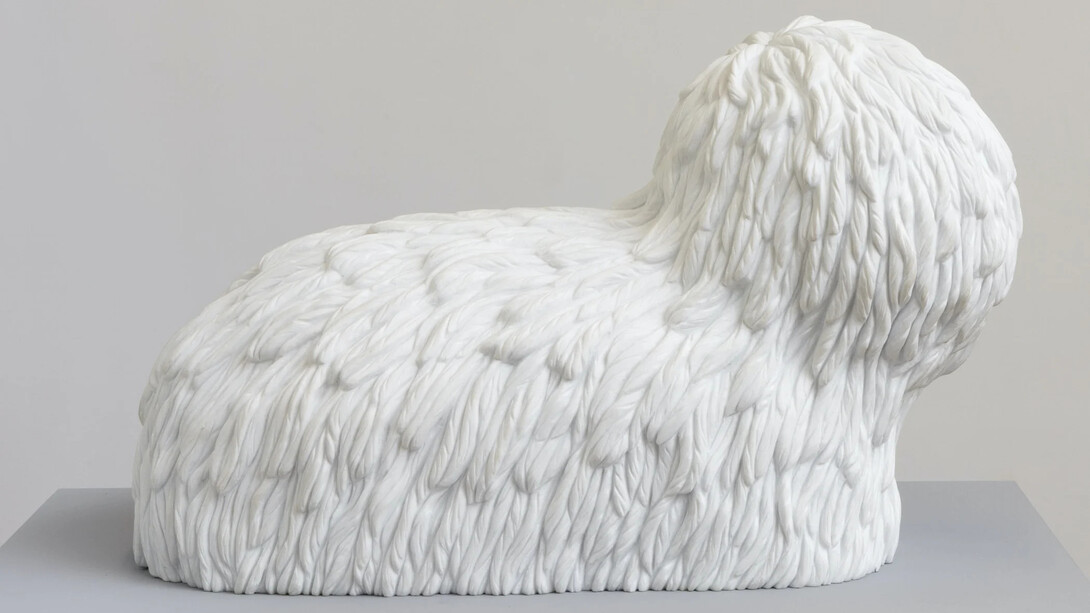 Carl D'Alvia, Barboncino, 2019. Courtesy of Diane Rosenstein Gallery