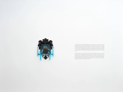 Phuong Nguyen, She is an object of beauty, exhibition view. Courtesy of Johnson Lowe Gallery 