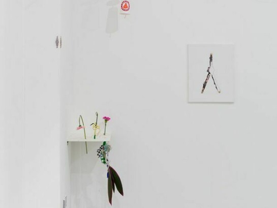 Servants Order ov Ancient Psychik Youth, a presentation by Neue Alte Bruecke, Frankfurt, 2013, Installation View, Courtesy Vilma Gold, London. Photo: Lewis Ronald