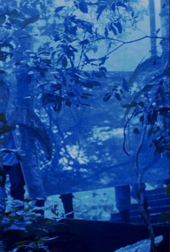 Melanie Smith with Rafael Ortega, Xilitla: Dismantled 1, 2010, 35mm transferred to video: color, sound, 12:00 minutes