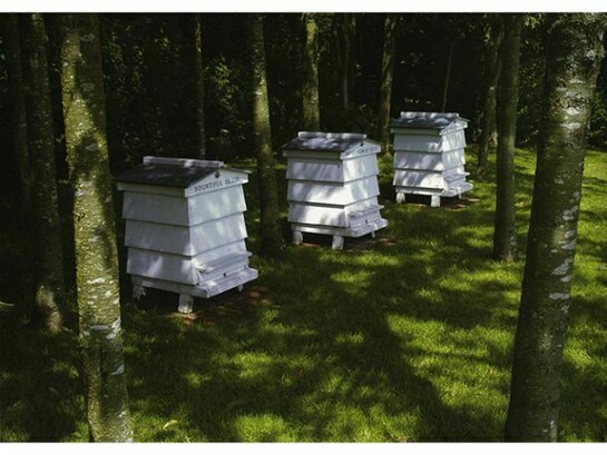 Ian Hamilton Finlay, Bountiful UL 238; Sweet Promise FH 172; Golden Gain FR 59, Installed at Little Sparta, Dunsyre, Scotland, Courtesy of The Estate of Ian Hamilton Finlay, Photograph: Sam Rebben © Estate of Ian Hamilton Finlay