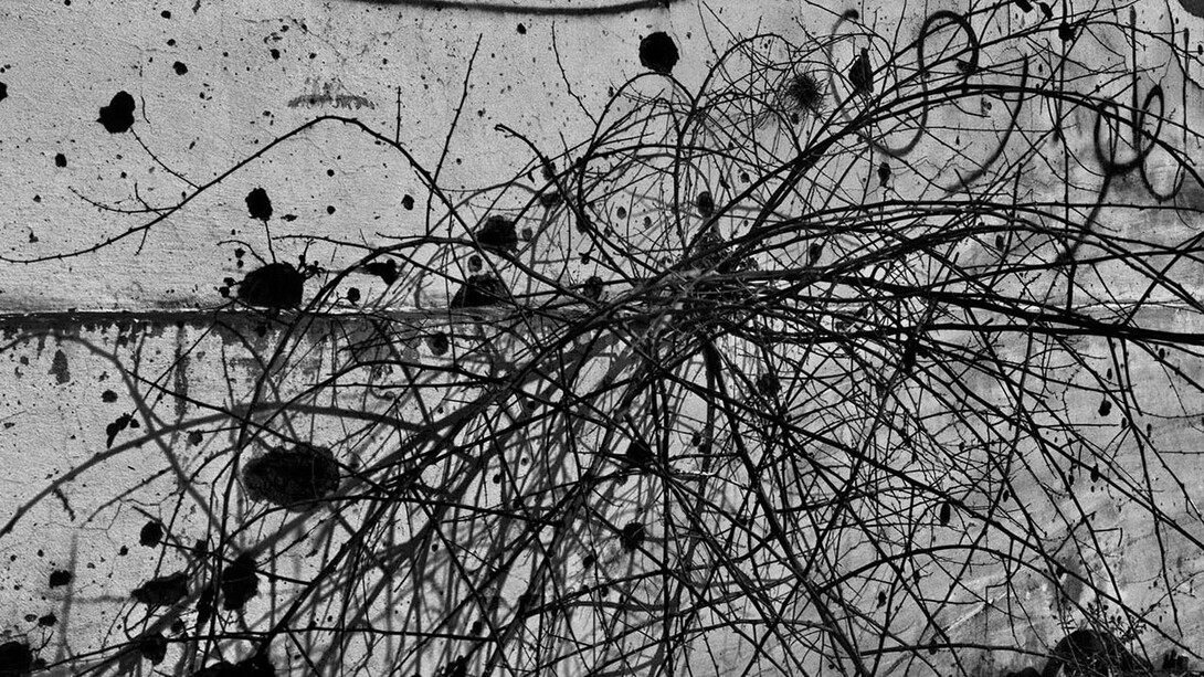 Koudelka. Courtesy of National Gallery