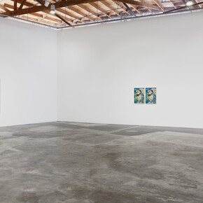 Cynthia Daignault, The lemon, exhibition view. Courtesy of Night Gallery