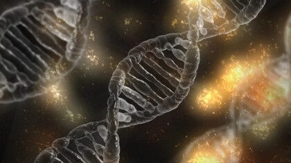 La historia de la genética empieza con el trabajo del monje agustino Gregor Mendel